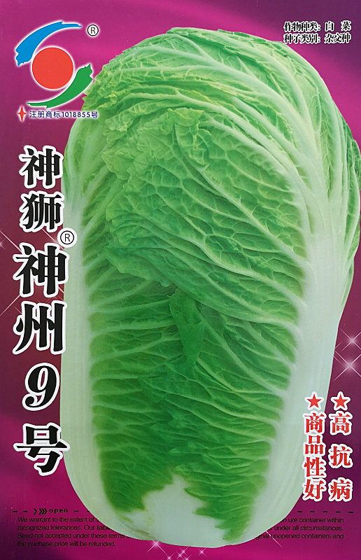 Shenzhou No.9——Chinese Cabbage